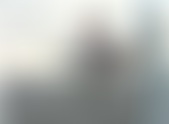 Deep learning-based analysis of daily activity patterns of farmed dromedary camels