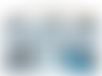 Quality of cryopreserved salmonid semen is not affected by a 25 years storage period