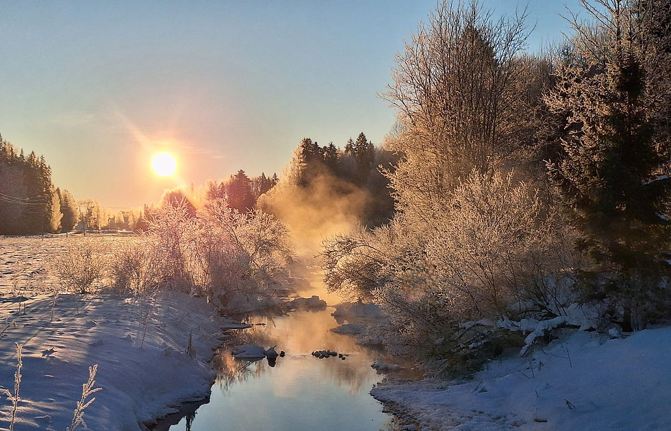 Taking daily inspiration photos can also be like a creative diary for yourself.