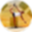 Certificate in Happiness Studies Testimonials