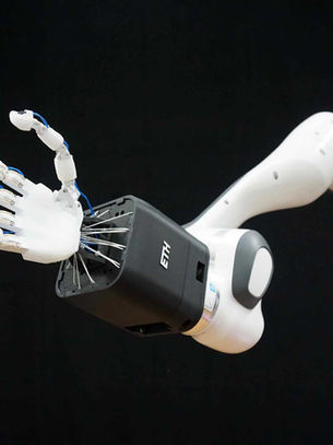 Intro to Biomimetic Robotics