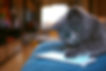 AdobeStock_309055198.jpeg