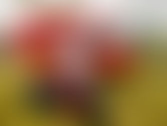 Bike4Life 2025 raises over £118K For Midlands Air Ambulance Charity