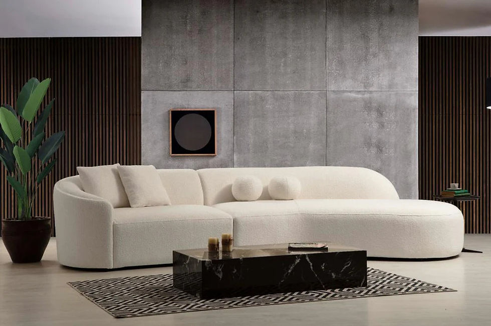 Modern Curved Sectional