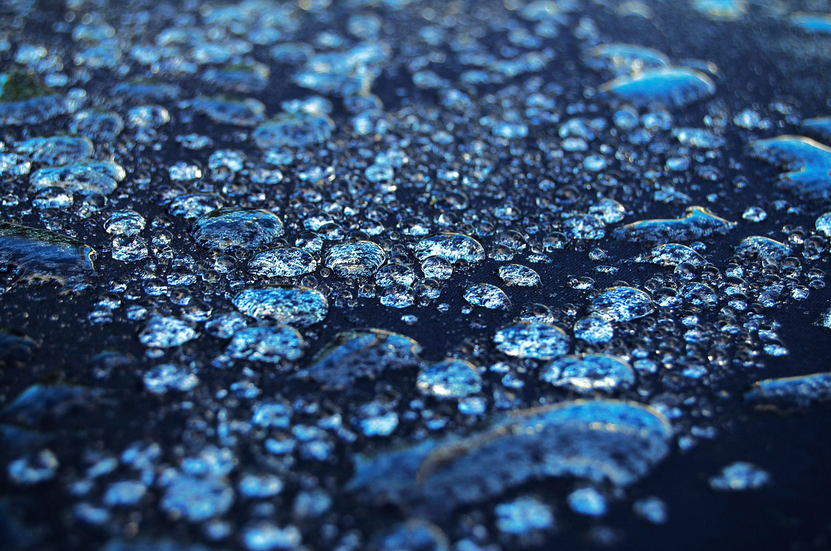 Le Jardin des Ephémères