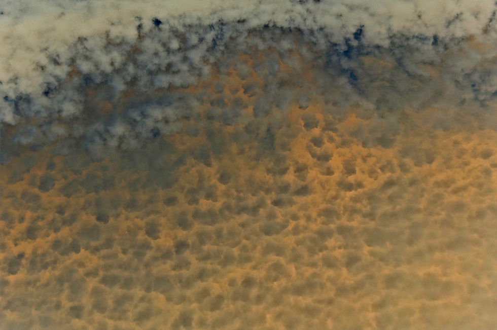 De Neige et de Cendre