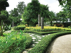 Phuket Botanic Garden