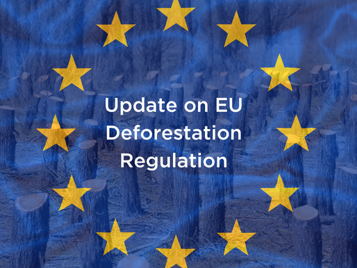 Global Partners called for an extension for EU Deforestation Regulation Implementation