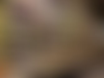 Importing Products of Animal Origin to the UK from Non-EU countries