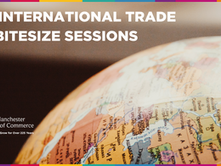 Bitesize Series – new sessions added!