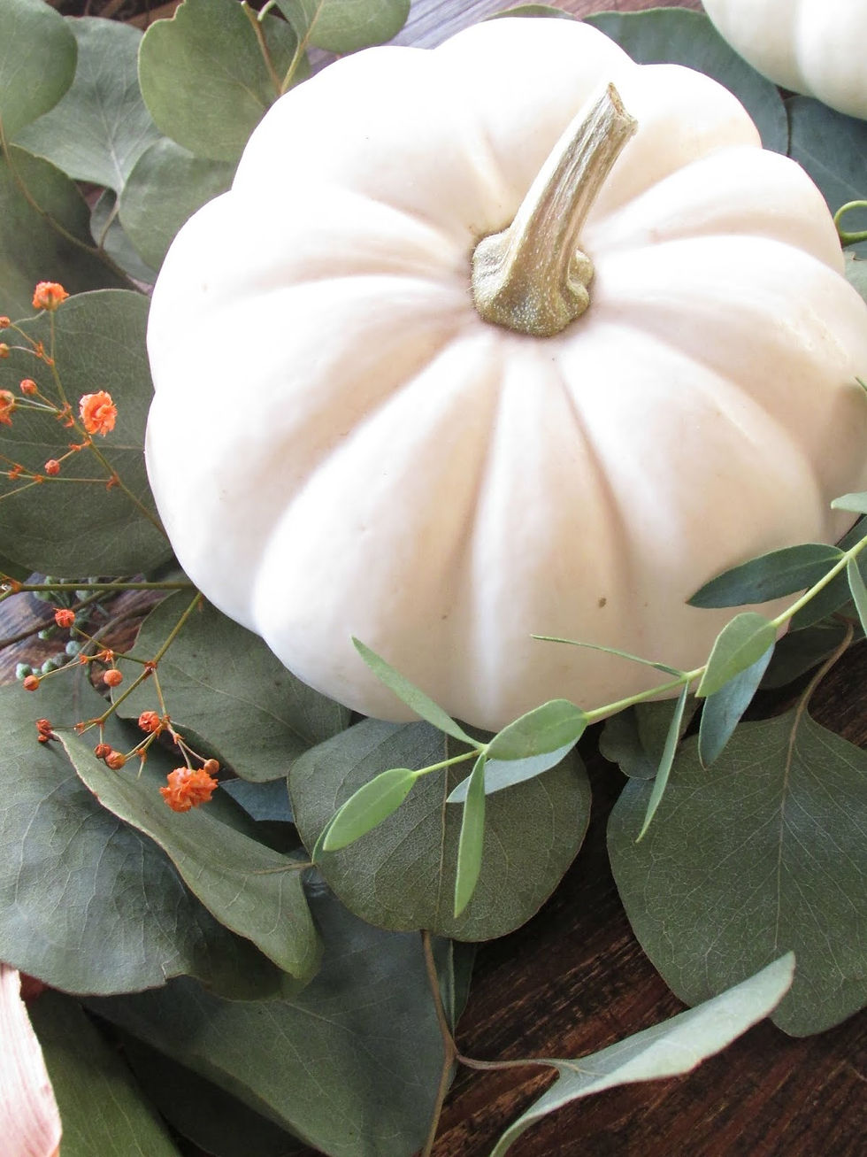 Miniatura: SEMI ZUCCHE BIANCHE