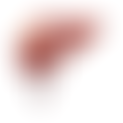 Tu Hígado: El Motor de tu Metabolismo (Más allá del Detox)