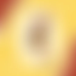 France Cadets Juniors : une maigre moisson pour les bretons