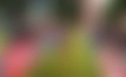 Championnats de Bretagne de trail court : Parisé et Closier titrés