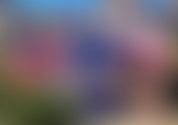 Championnats de France de 10km : le CJF médaillé par équipe