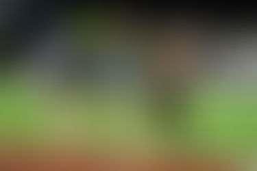 Championnats de France de 10000m : 4 médailles pour la Bretagne