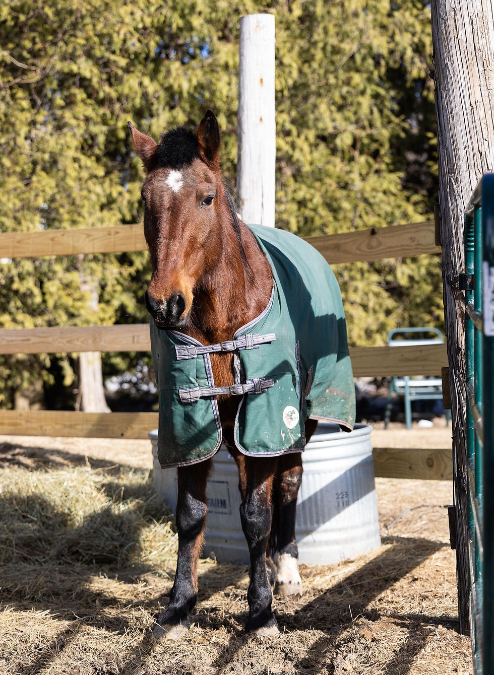 e17faab9-3834-4b23-9006-91c38fe71e21