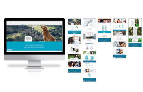 JAG_Work_Website