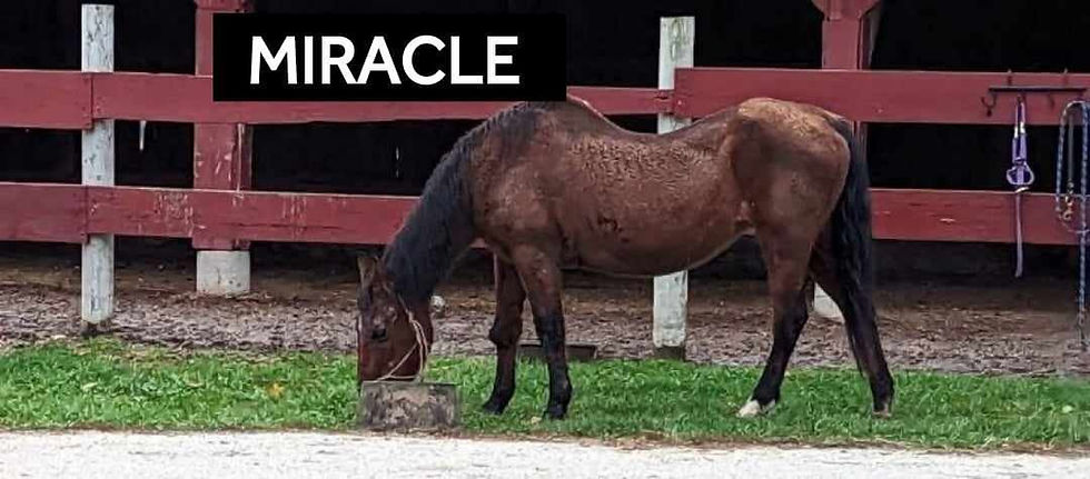 Miracle