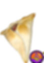 Empanada "ARABE"