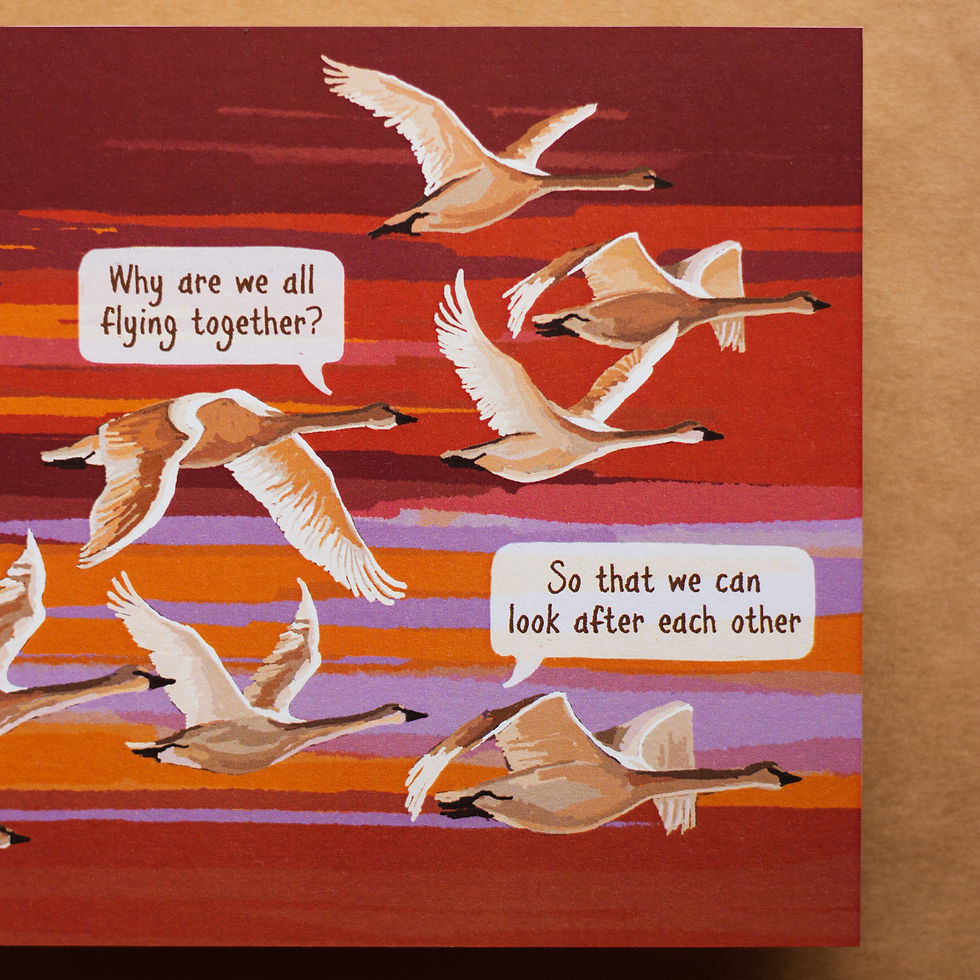 Thumbnail: The Swans say...