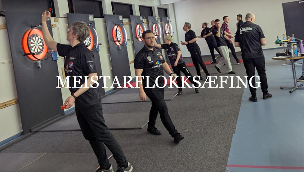 Meistaraflokksæfing
