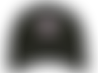 Anna Björg sigraði 301 kvennamót 