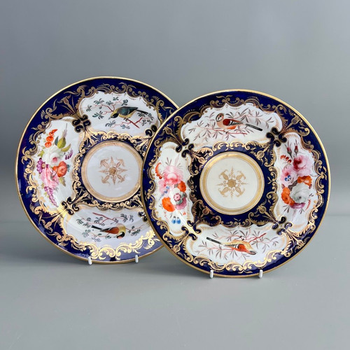 Coalport plate, cobalt blue, birds and flowers patt.759