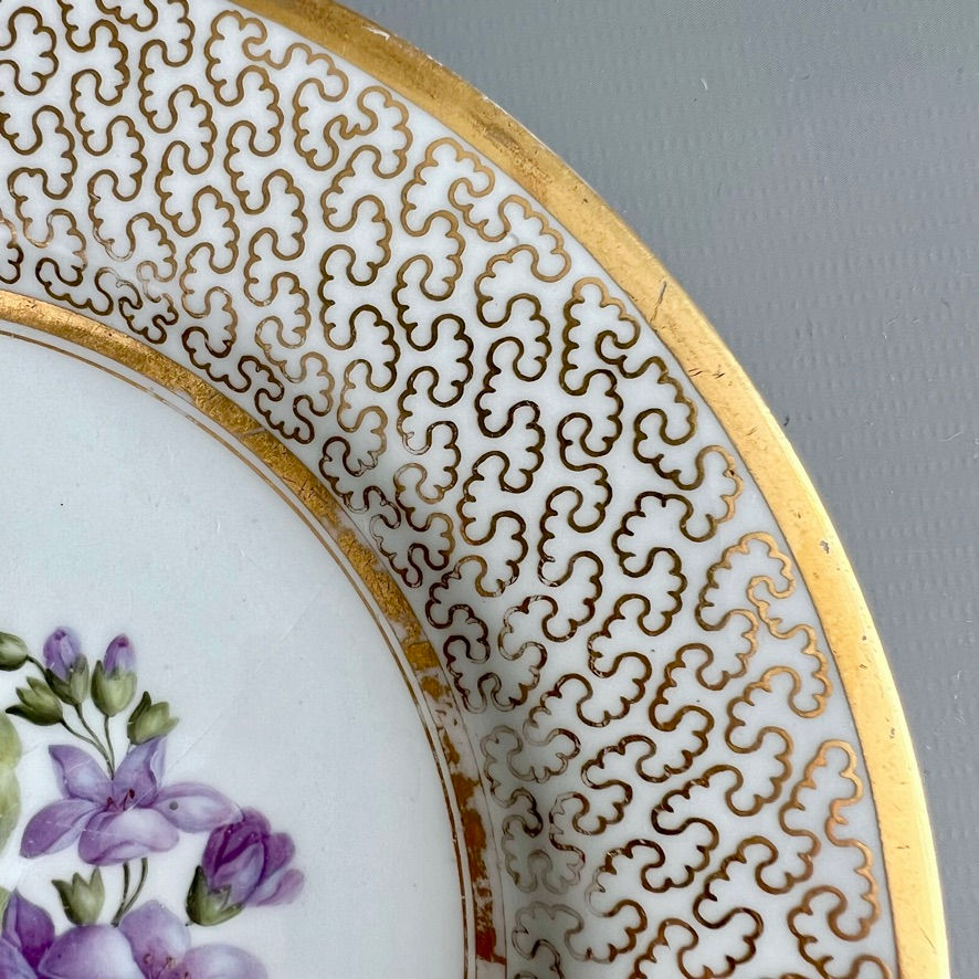 Thumbnail: Barr Flight & Barr plate, gilt vermiculé, flowers by W. Billingsley, c1809 (2)