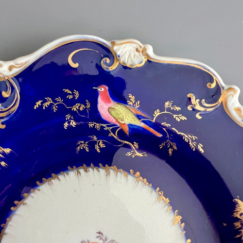 H&R Daniel plate, Shell shape, cobalt blue, birds and butterfly