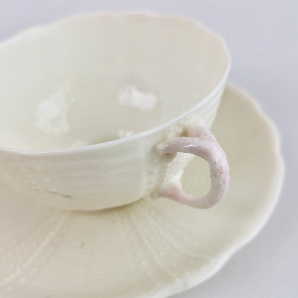Thumbnail: Belleek teacup, white and pink lustre Echinus, 1st BM 1878