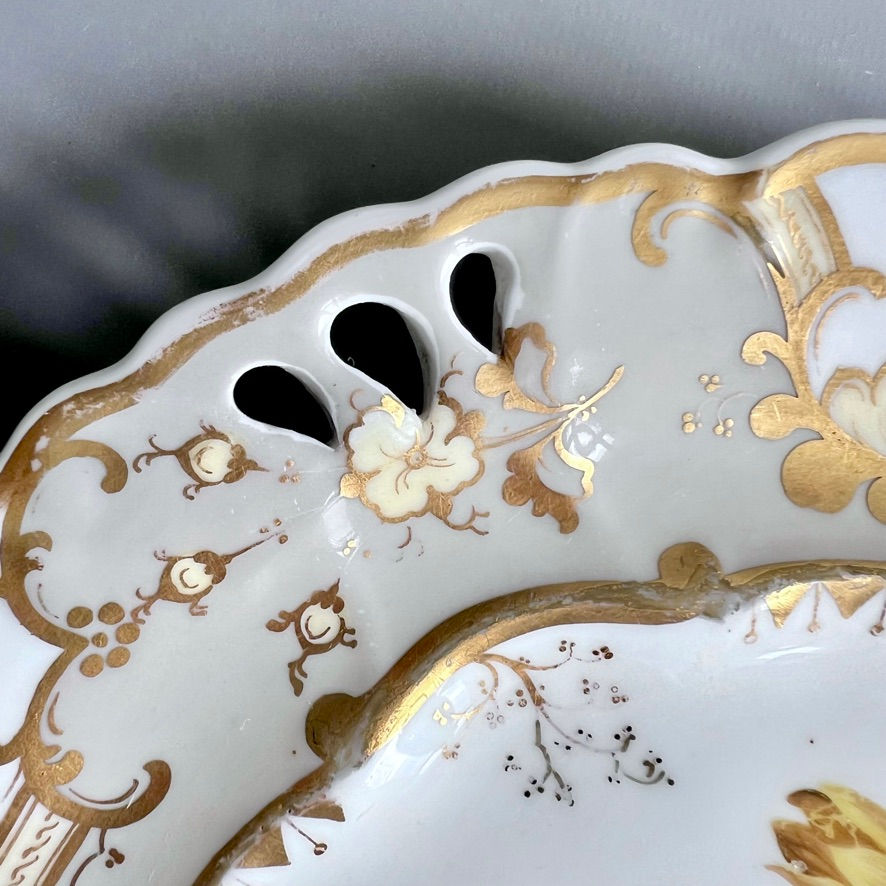 Thumbnail: Samuel Alcock plate, cornucopia rim grey, yellow nasturtium, ca 1835