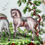 Thumbnail: Worcester deep plate, Aesop Horse and Donkey, ca 1780