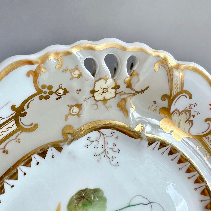 Thumbnail: Samuel Alcock plate, cornucopia rim grey, yellow nasturtium, ca 1835