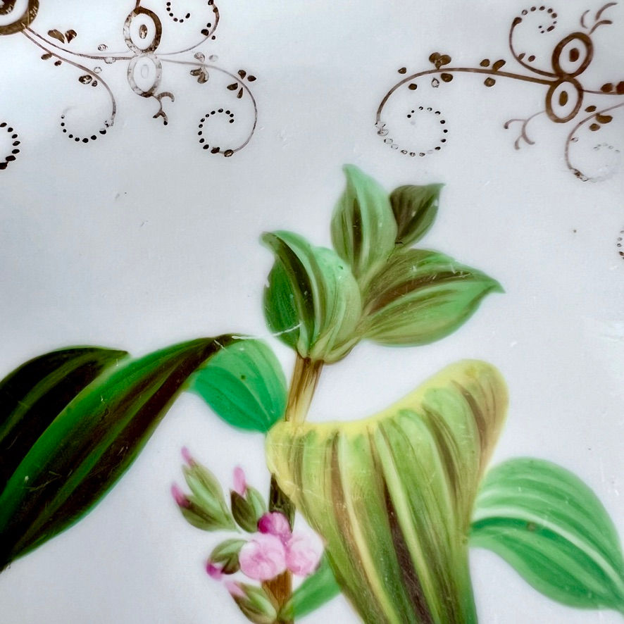 Thumbnail: Samuel Alcock plate, grey and beige acanthus border, pink flower, ca 1835