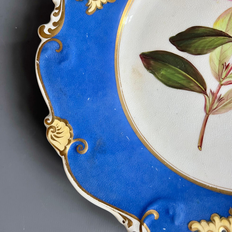 Thumbnail: H&R Daniel plate, pierced shell shape, royal blue, named pink flower, ca 1835