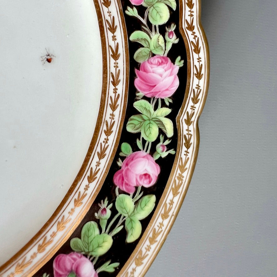 Thumbnail: Paris Clignancourt plate, black with roses, butterflies and bugs, 1780-1790