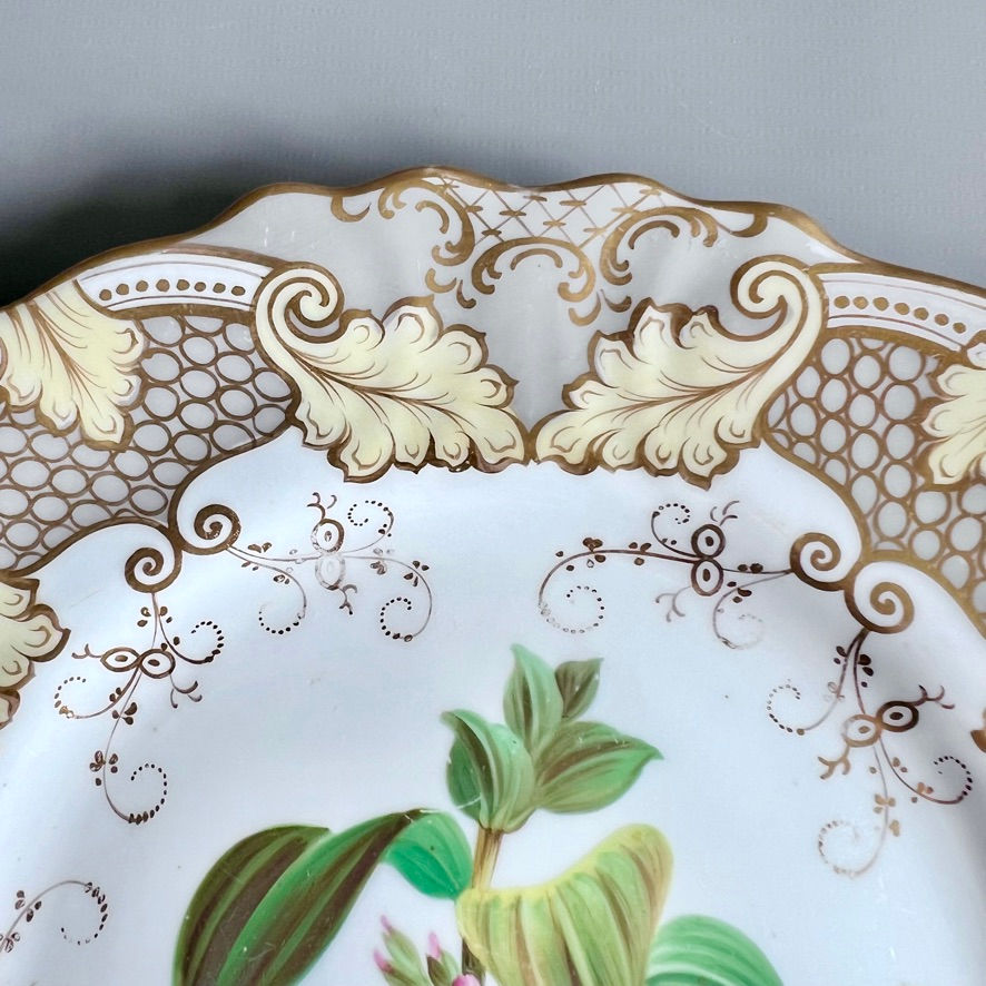 Thumbnail: Samuel Alcock plate, grey and beige acanthus border, pink flower, ca 1835