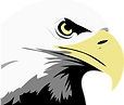 eagle-24600_960_720.png