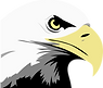 eagle-24600_960_720.png