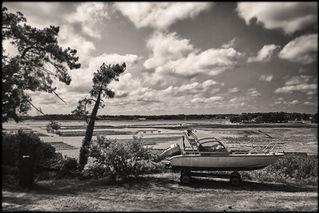 Les huitres du Guern Bretagne Morbihan