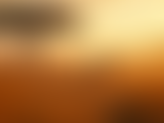 Discover Authentic African Tours with TRU Heart of Africa