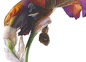 Untitled-1.jpg