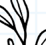 Screenshot 2026-08-12 at 11.20.06 AM.png