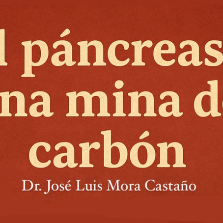 EL PÁNCREAS, UNA MINA DE CARBÓN
