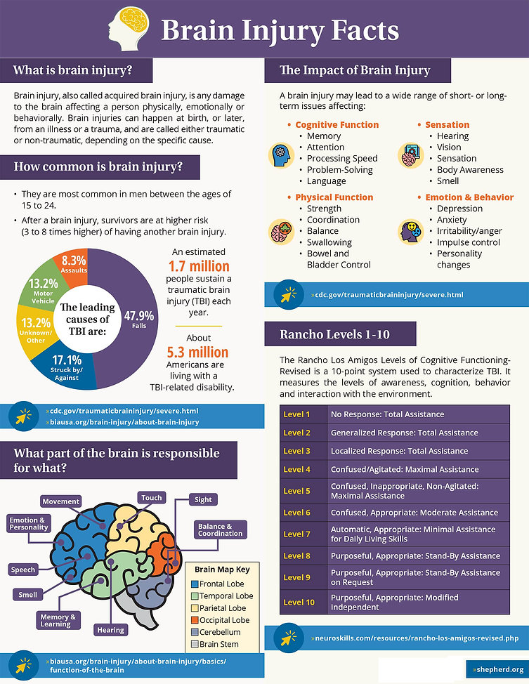 Brain-Injury-Facts_Infographic