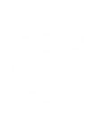 Sancha The Brand LOGO