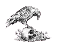 crow_1-removebg-preview.png
