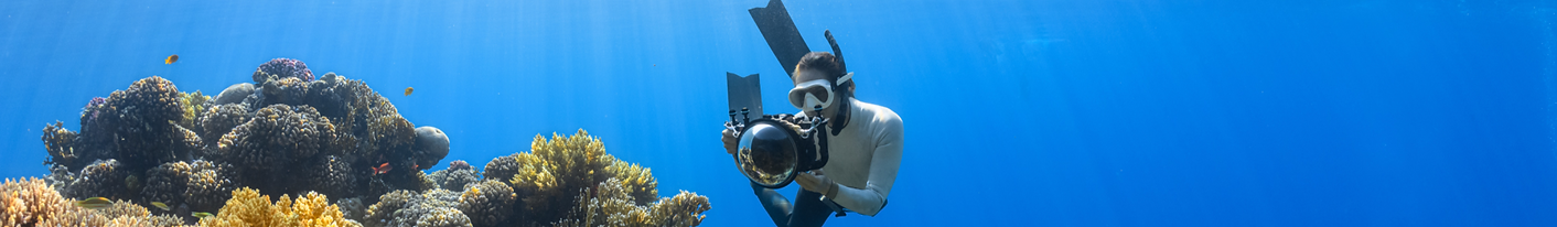 Diving
