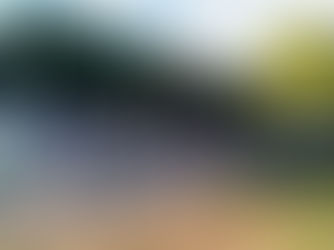 Monmouth MVC sing again